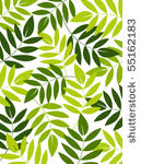 vector leaf background design