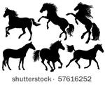 silhouettes of horses