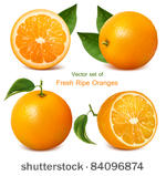 vector set of fresh ripe...