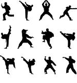 martial arts silhouettes