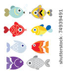 ornamental aquarium fishes  ...