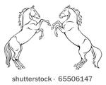horses