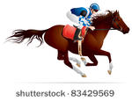 derby  equestrian sport horse...