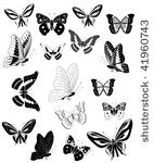 butterfly