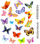 set of different butterflies