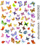 insects