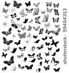 set butterfly