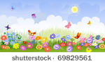 flower meadow panorama