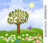 summer landscape with rainbow