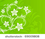 flower on a green spring...