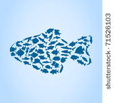 fish collected from small...