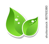 water drops on green leaf of a...