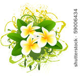 vector flower banner