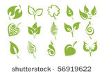 vector icons   leaves
