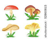 mushrooms vector