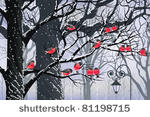 bullfinches on trees in winter...