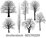 collection of trees silhouettes