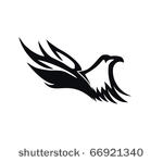 eagle  vector 