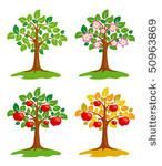 apple tree at different seasons....