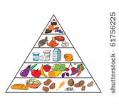 vector illustration  food...