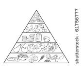 vector illustration  food...