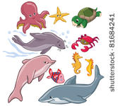 vector illustration  marine...