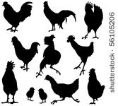 variety of chicken silhouettes.
