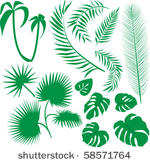 vector set green leaves