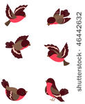 set funny robin birds  vector...