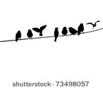 a silhouette of birds on a ...