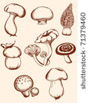 set of vector  hand drawn...