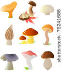 set of vector glossy forest...