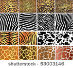 highly detailed animal skin...
