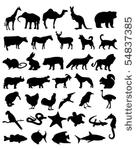 36 animal black silhouettes