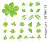 set of leaves of trees  shrubs...
