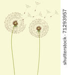 dry dandelion flowers   vector...