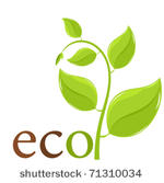 fresh spring plant. ecological...