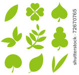 set od various tree leaves....