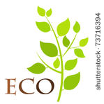 green eco plant   vector...