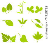 leaf collection isolated  ...