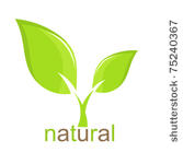 green leaf natural icon. vector ...