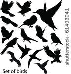 set birds.vector