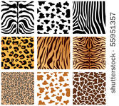 animal skins