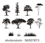 set of a trees  grass and...