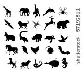 animals silhouettes wild and...