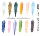 feathers colored collection on...