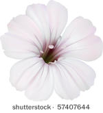 white flower