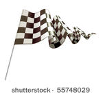 checkered flag  vector