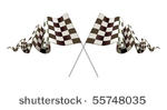 checkered flags  vector