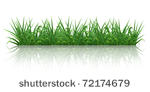 grass  10eps